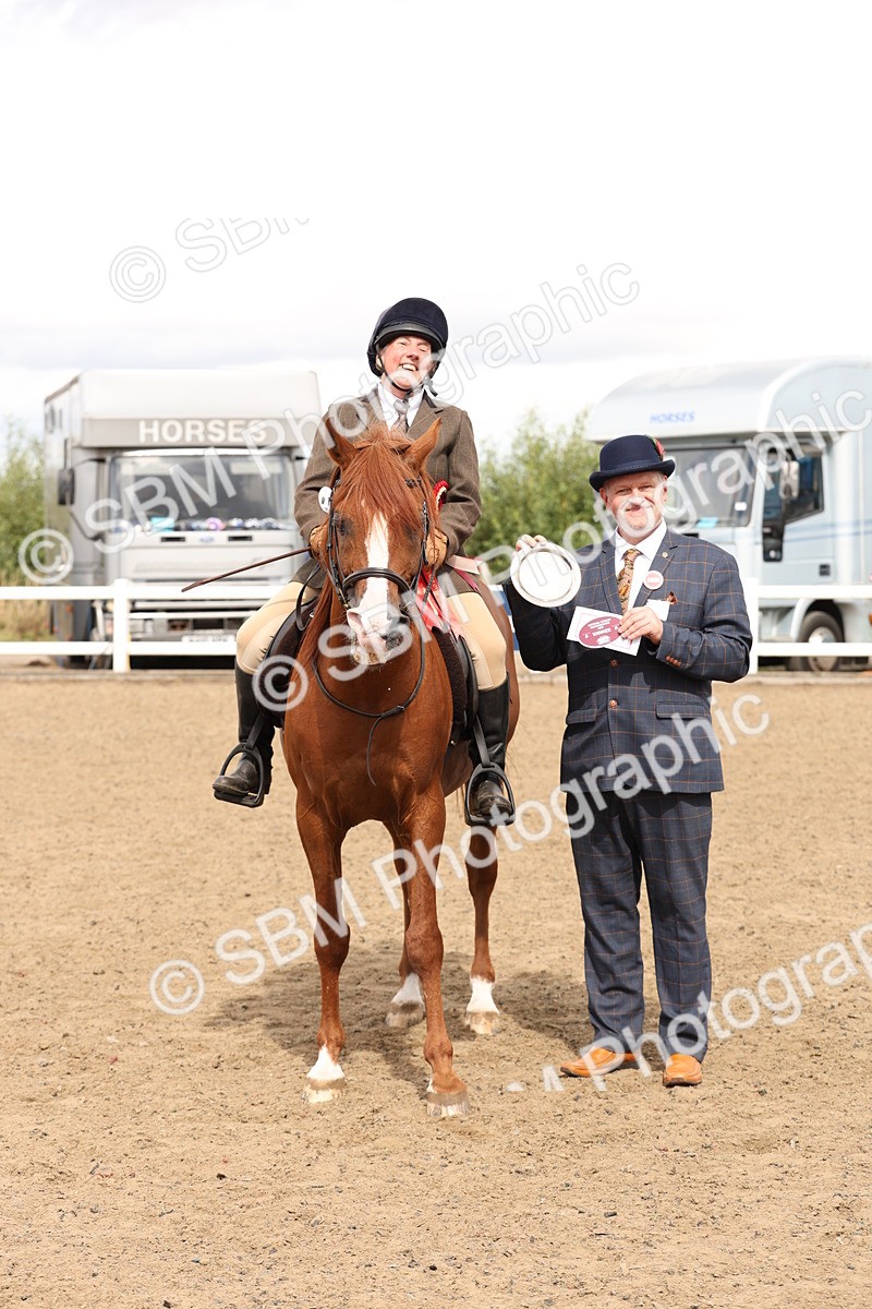 SBM_05235 - Class 56b -  Style & Performance - 50cm (20+)