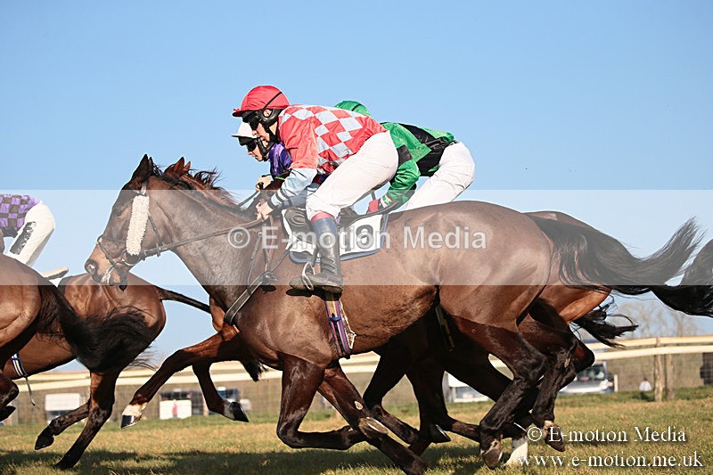 PtP 230219 521 - Vine & Craven Point-To-Point - Barbury 23/02/19