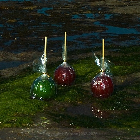  - STILL LIFE IN LANDSCAPE