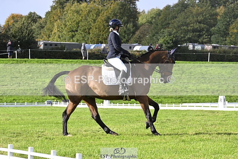 251023A-150913-04525 - E-386-Zara.Head