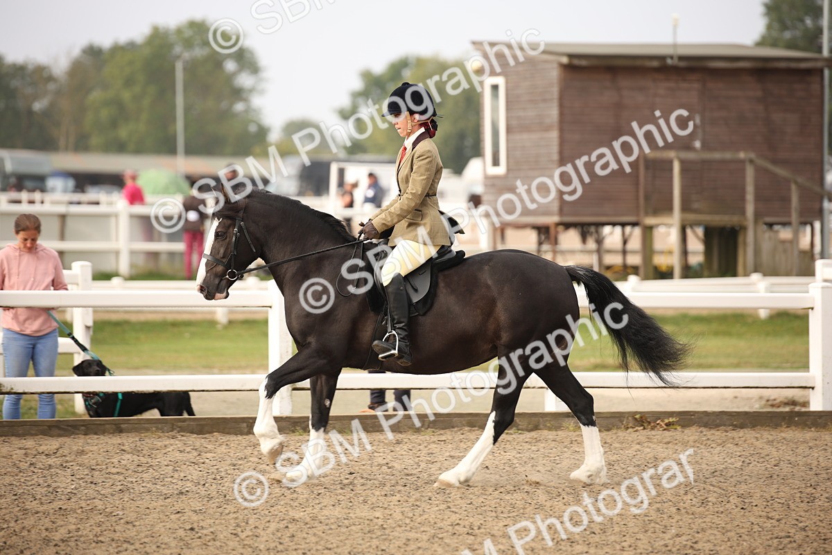 SBM_09760