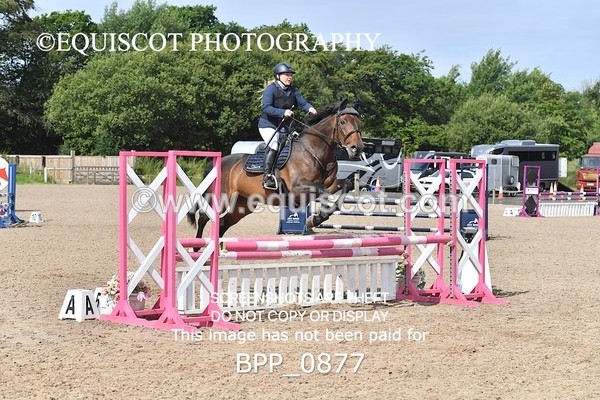 BPP_0877 - CLASS 3  Senior British Novice/ 90cm Open