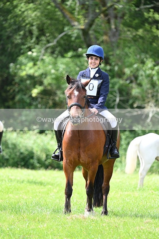 WJ7_1375 - Class 11 Condition & Turnout