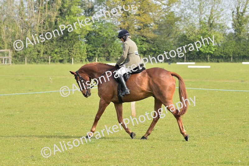 20260426-0871 - Class 18 - Novice Showing