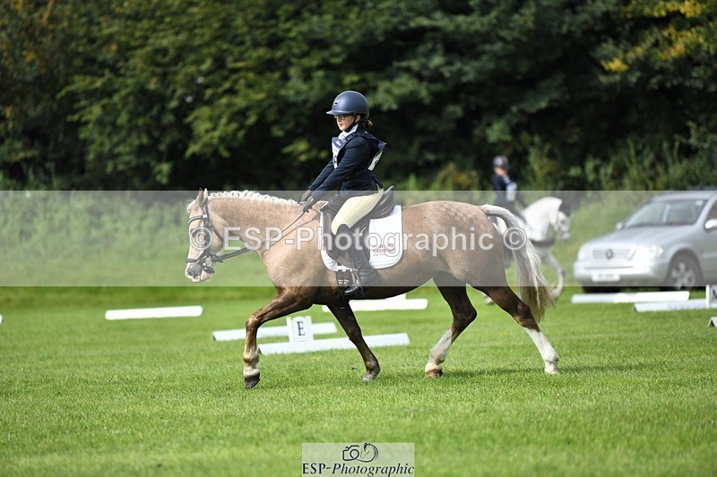 230826-102536-15469 - Sections C & D 10 to End