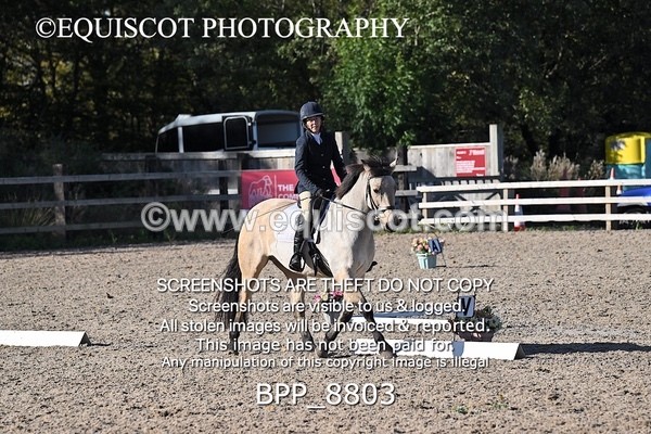 BPP_8803 - LONG ARENA