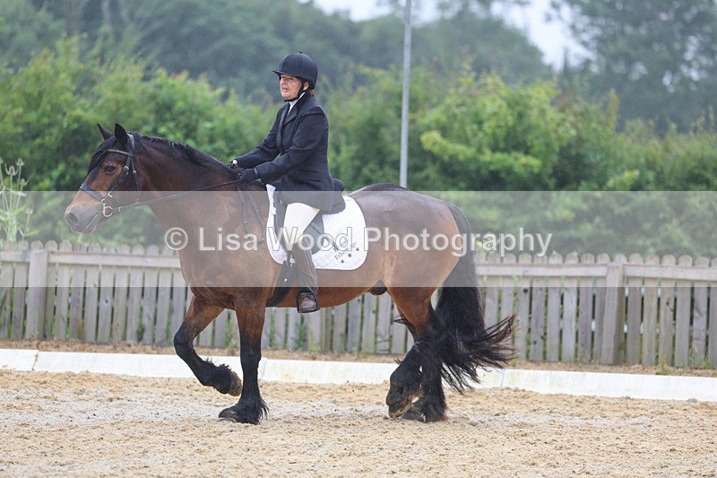 3E7A8469 - Class 2: Intro 3 2024 section B