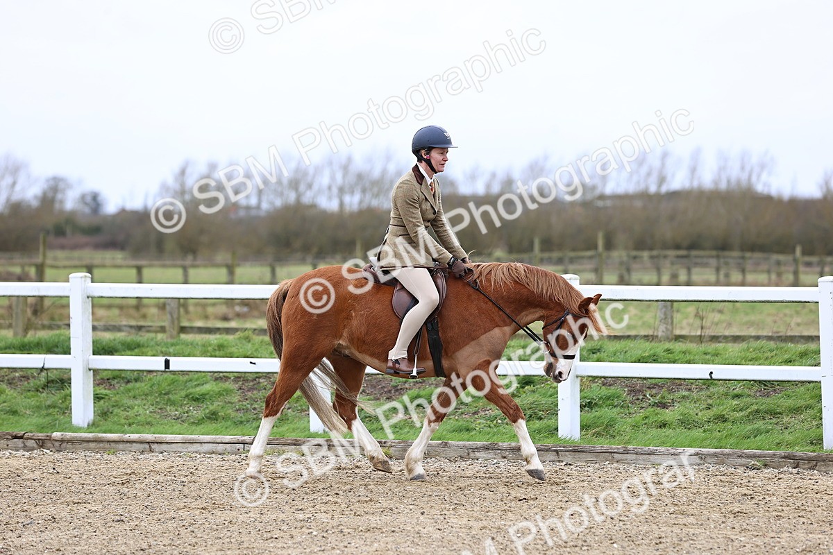 SBM_006734 - Class 29 - 30 - M&M Pure Novice Small-Large Breeds