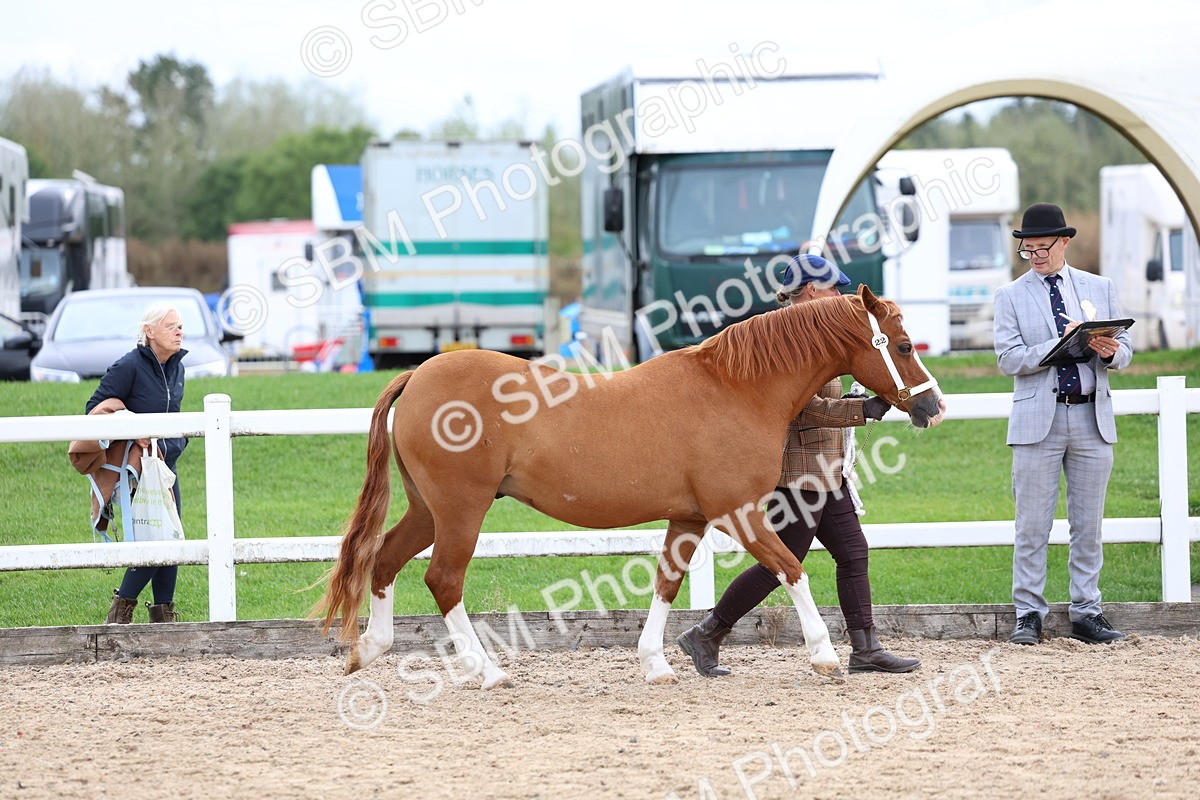 SBM_05820 - Class 29 - IH Veteran Pony