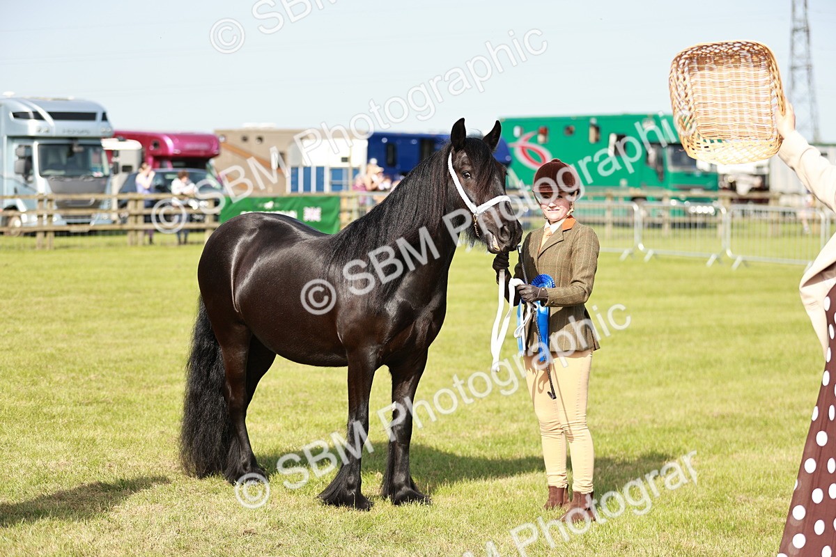 SBM_00918 - Class 14-23 - Mountain & Moorland In Hand Non Welsh