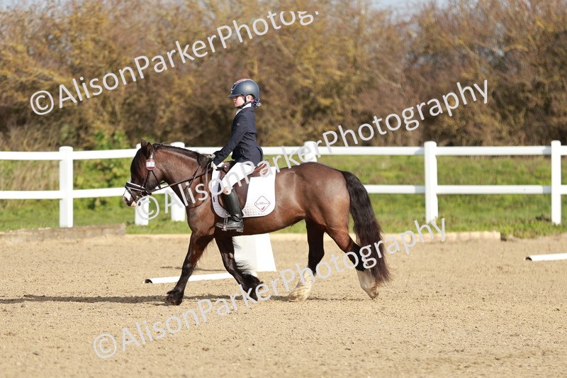 20260314-0109 - CT1 - Intro 1