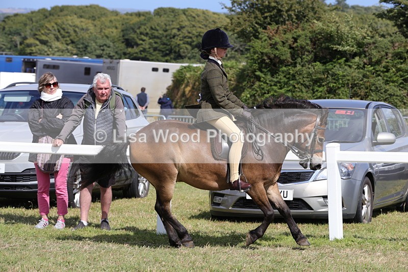 1X9A5588 - Class 39: NPS Dartmoor, Exmoor, Shetland