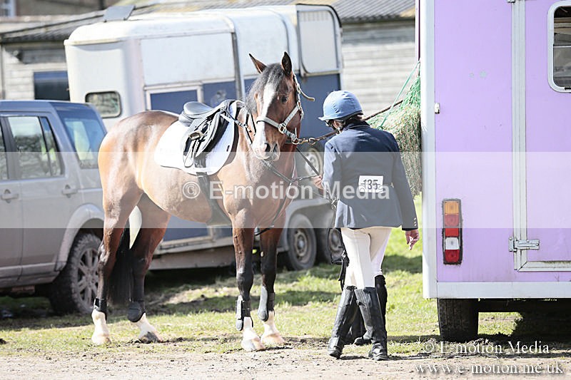 BVRC SJ 170319 310 - Bourne Valley Riding Club Showjumping 17/03/19