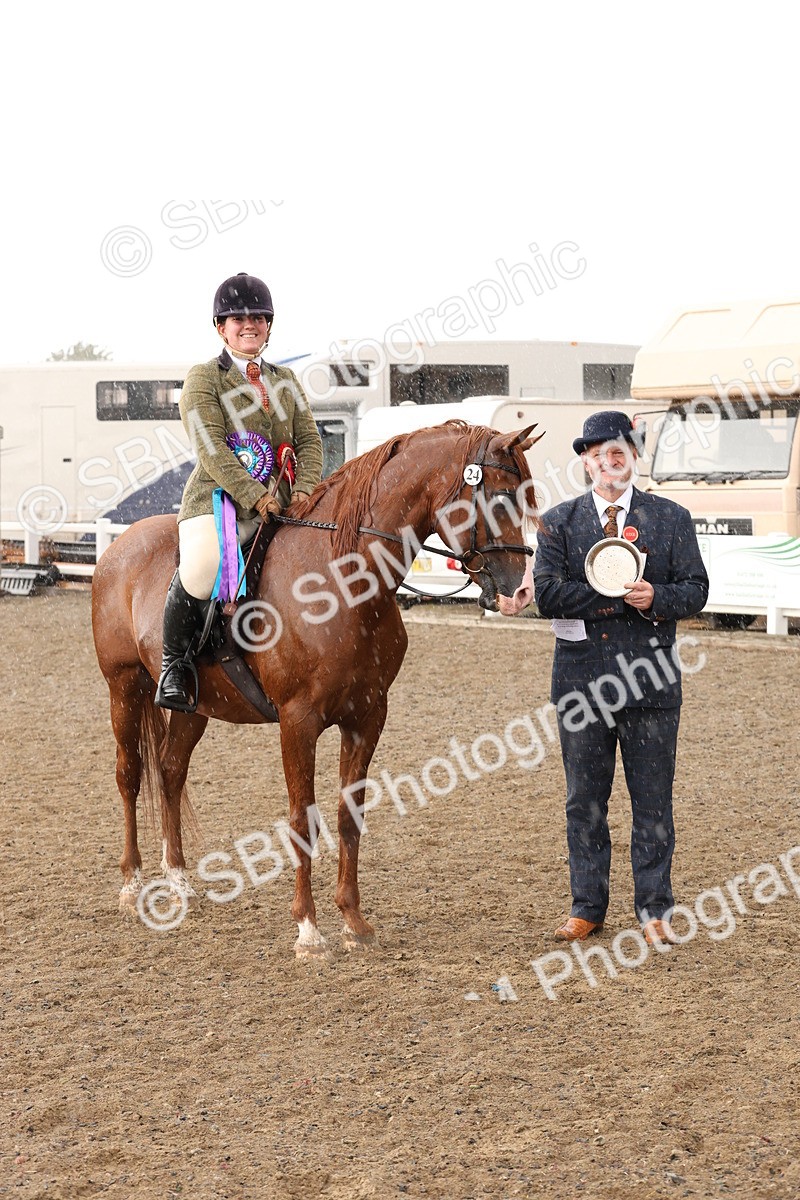 SBM_07596 - Class 59b -  Style & Performance - 80cm (20+)