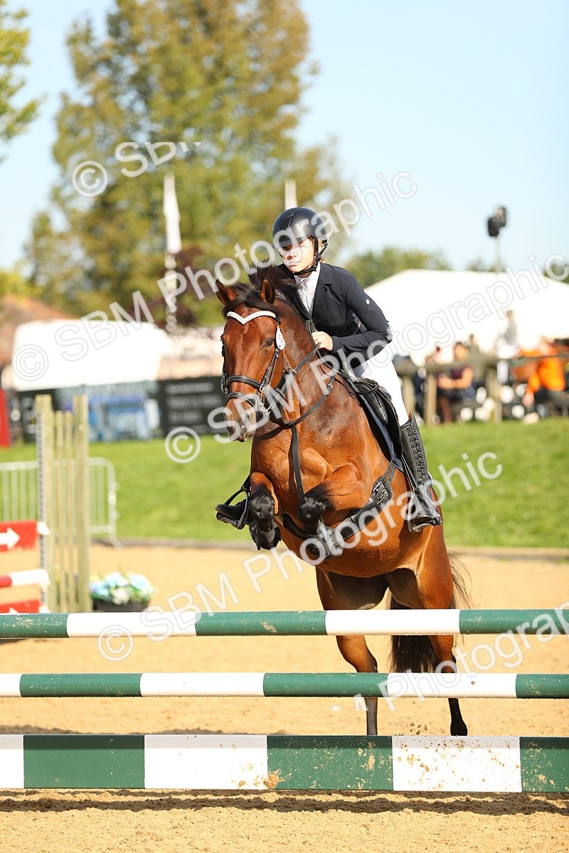 SBM_60288 - J41 - Grand Tour 95cm Championship