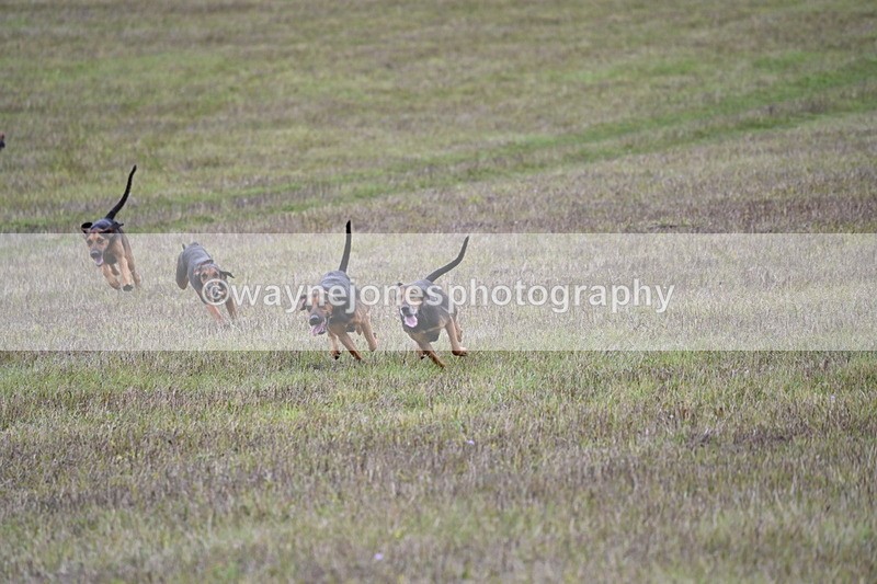 WJ6_0874 - Camera 2 Line 2