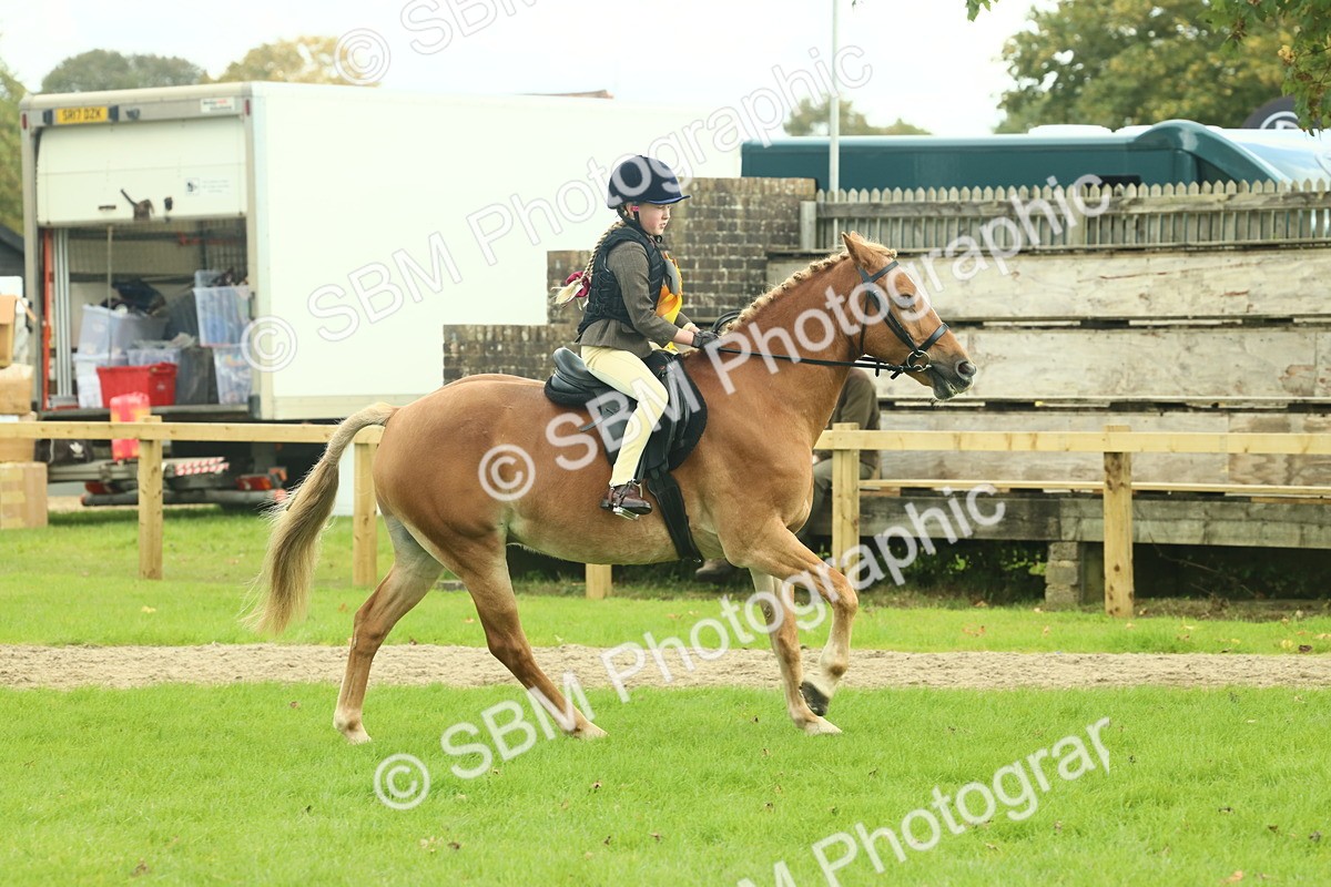 SBM_62570 - S62 - Foreign Breeds Ridden