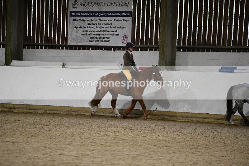 WJ5_8184 - Class 14 Novice Ridden/Rider