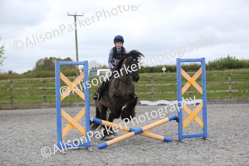 20260412-0598 - Show Jumping