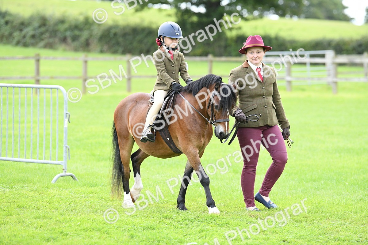 SBM_42407 - S20 - Lead Rein Mountain & Moorland Pony