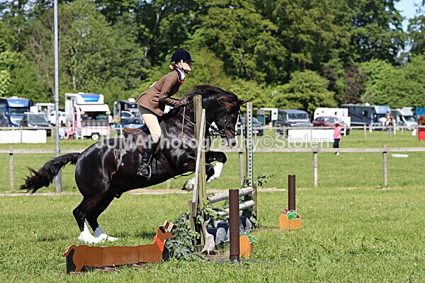 IMG_3709 - Working Hunter