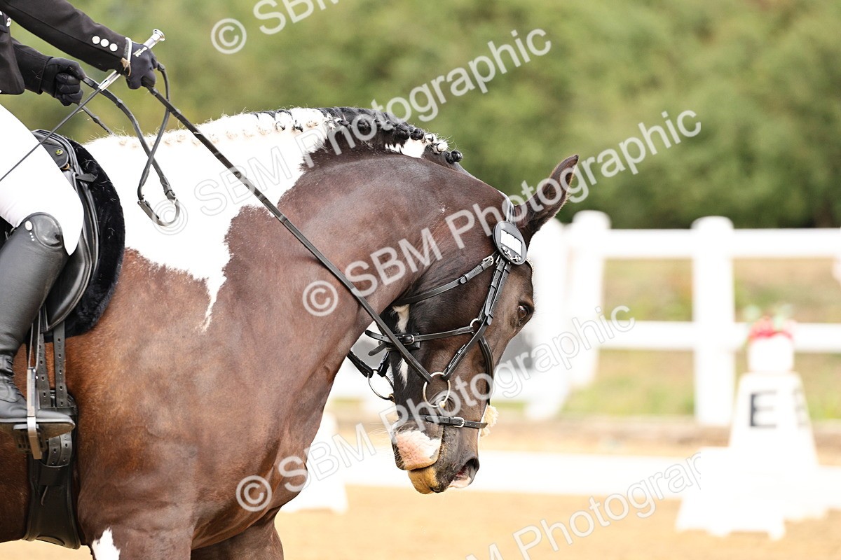 SBM_011401 - Class 1 - Prelim 4