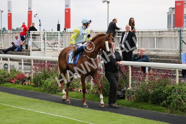 yr24072021r7-25 - Race 7 5.35pm The Sporting Life Fast Results Stakes