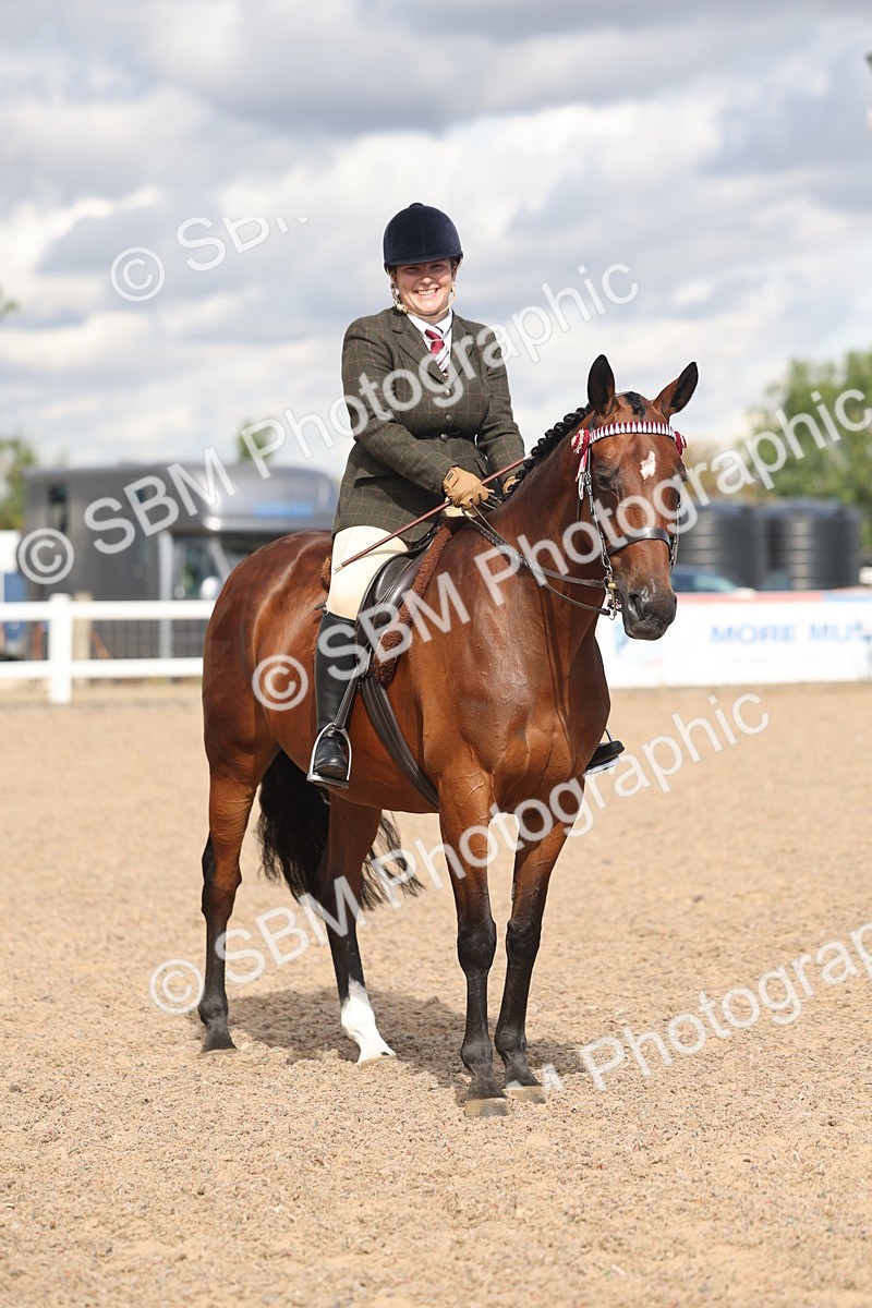 SBM_13190 - Class 306 - Ridden Foreign Breds - Part Bred