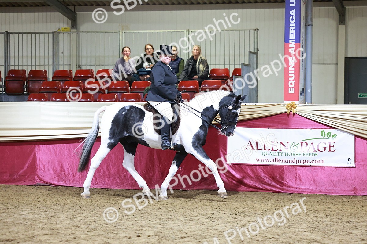 SBM_20767 - Class K - Ridden Competition Riding Club Champ