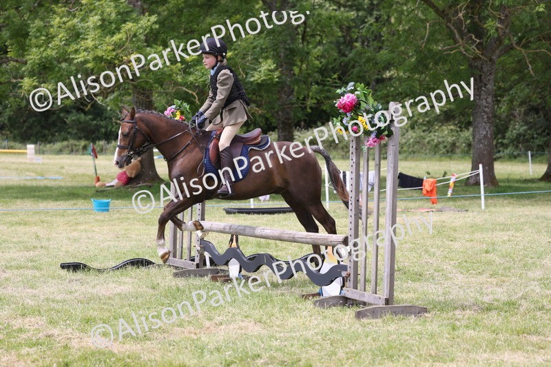 20260614-2856 - Class 22 - Open Working Hunter