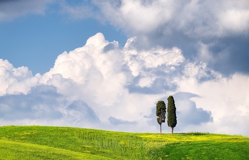  - Italy