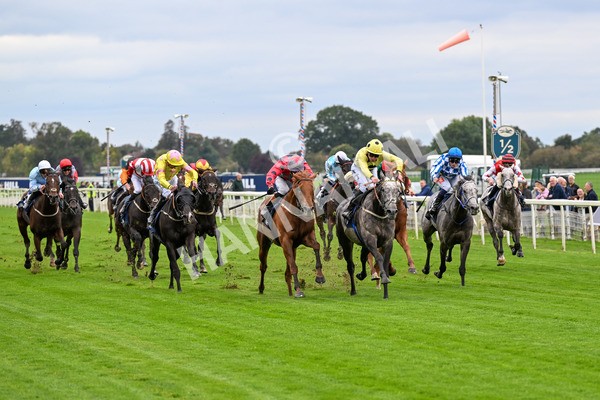 101025-Race 1-Ice Max-0033 - Race 1 William Hill Autumn Mile Handicap at York