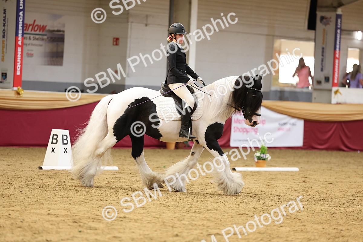 SBM_09304 - Class 51 - Dressage to music