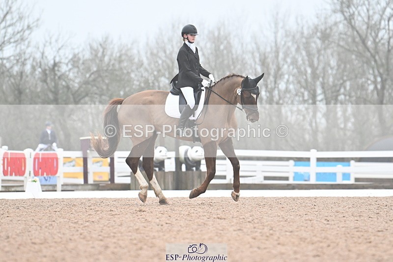 240217A-095254-00474 - 123-Daisy.Hedges-Felicia.v