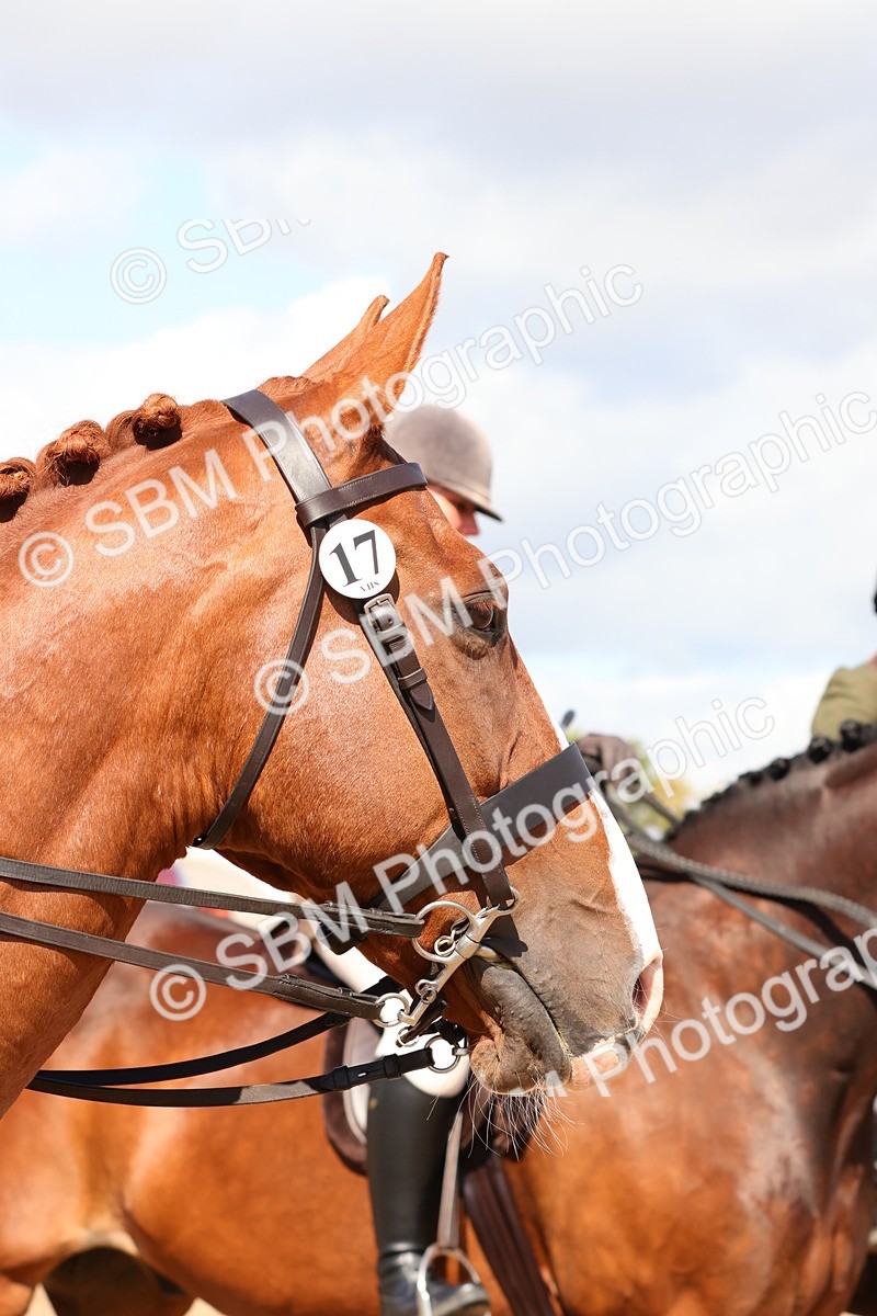 SBM_13504 - Class 212 - Ridden Hunter  - Large