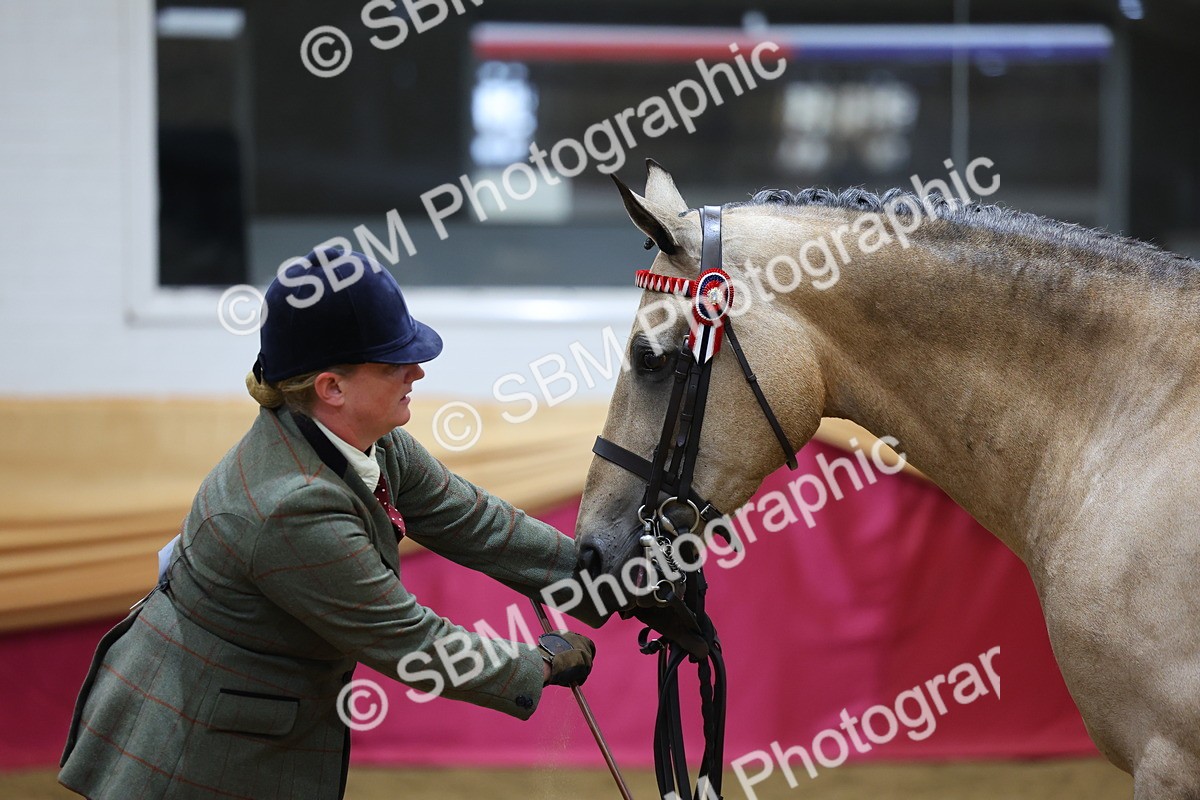 SBM_20889 - Class 902 - Supreme Final IH Veteran