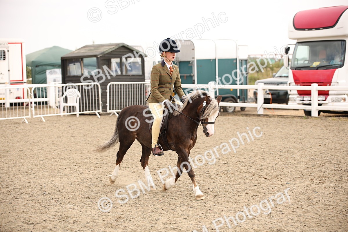 SBM_12586 - Class 405b - M&M Working Veteran 50cm 20+