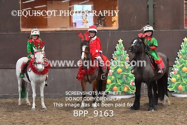 BPP_9163 - CLASS 3 50CM-70CM Pairs Show Jumping