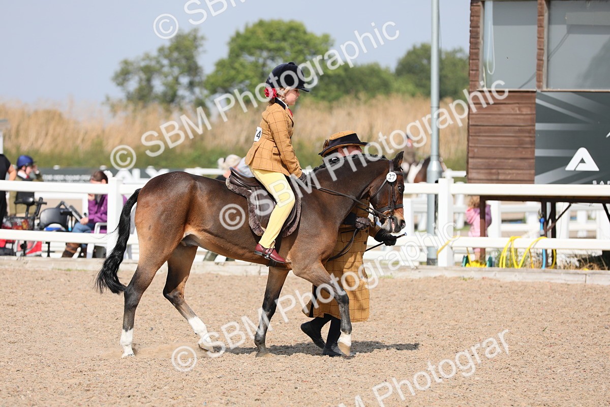 SBM_14039 - Class 309 Lead Rein Pony