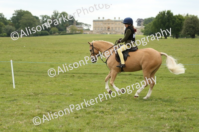 20250517-1139 - Class 21 - Novice Working Hunter