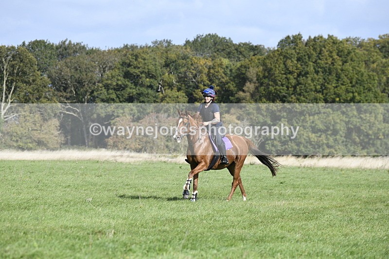 _DSC6214 - Time 11:23 to 12:05