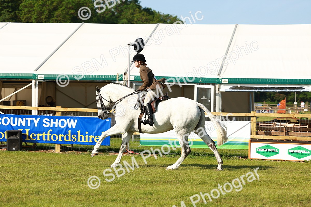 SBM_10926 - Class 66-69 - RIHS Ridden Hunters Inc Small Hunter