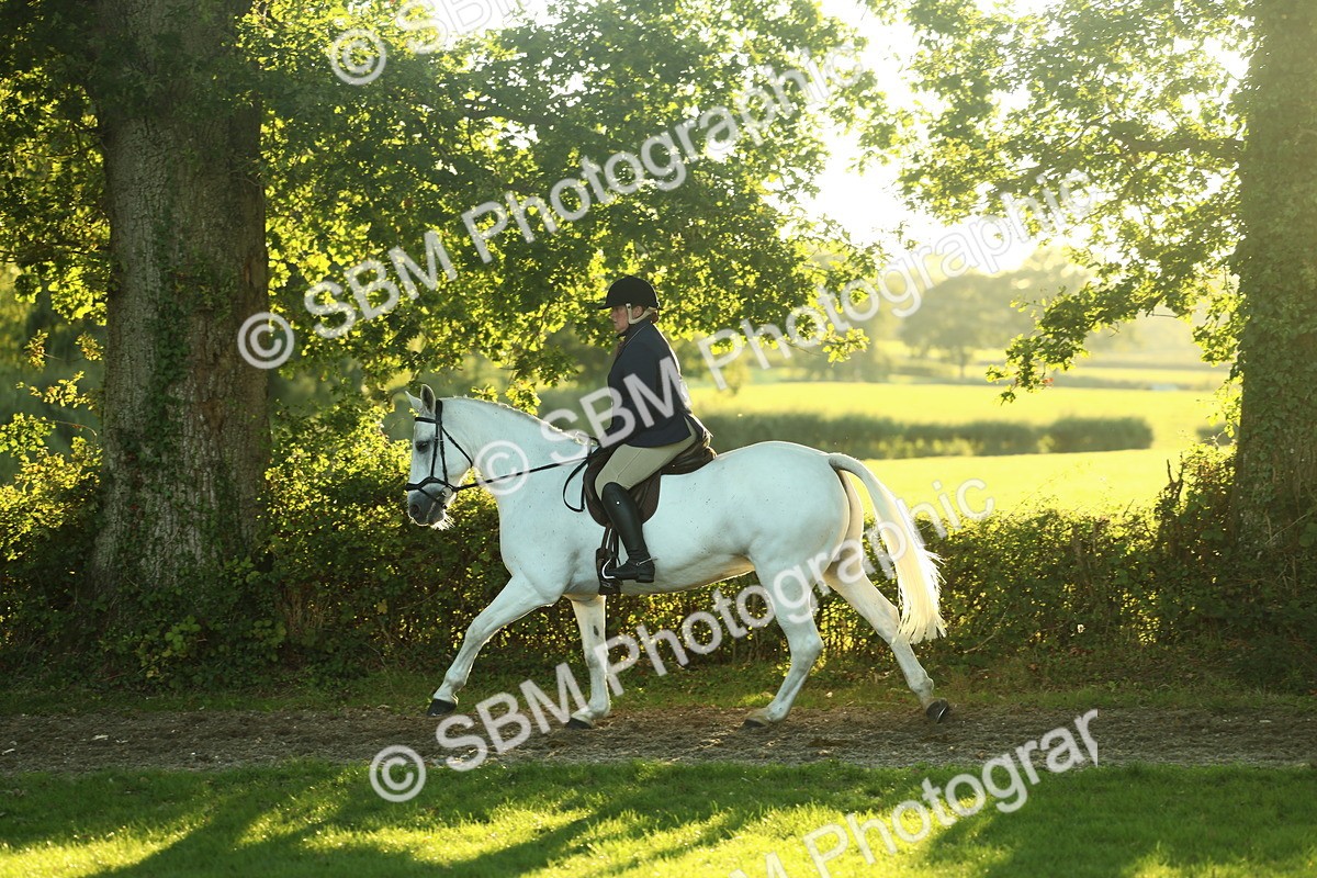 SBM_56435 - S14 - Riding Club Horse