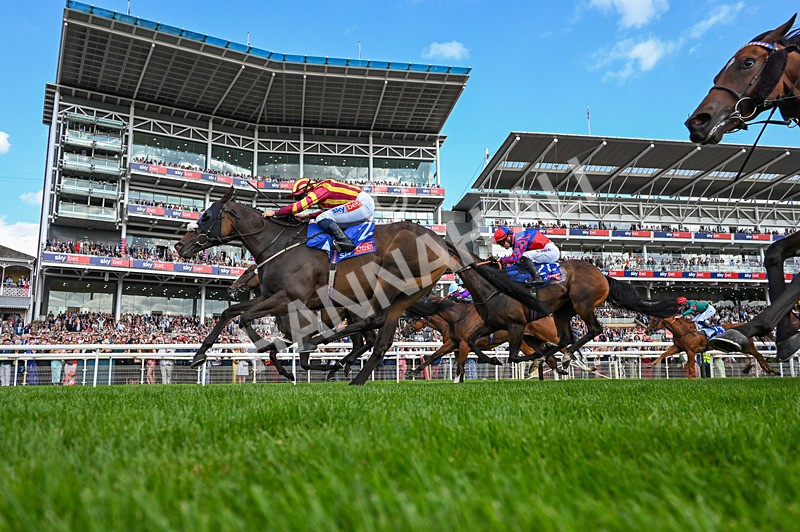 220826-Race 5-Sondad-5806 - Race 5 16.10pm Sky Bet Constantine Handicap