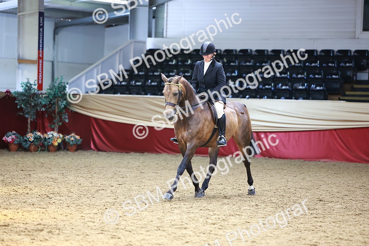 SBM_24013 - Class 905 - Supreme Final - Ridden Veteran