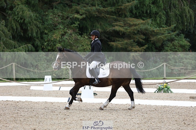 230812-102331-03210 - Cls 5 Novice Bronze Start to 10.55 break