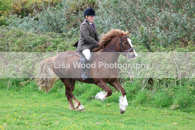 3E7A0695 - Class 5: Ridden M & M Senior