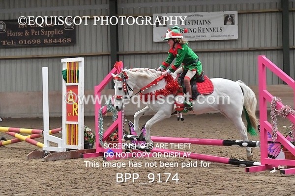 BPP_9174 - CLASS 4 50CM Novice Show Jumping