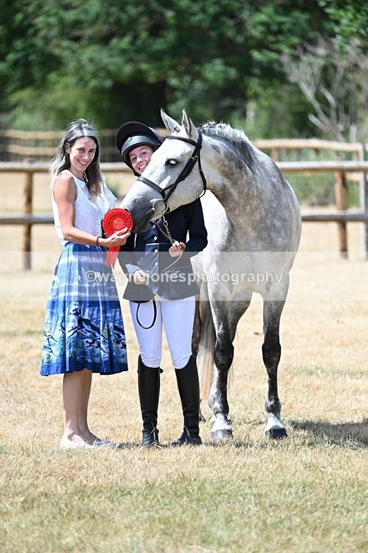 WJ7_2026 - Class 4a Prettiest Mare 14.2hh and over hand