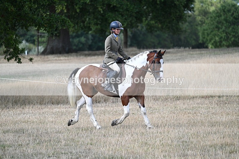 WJ7_6725 - Class 14 Ridden Coloured